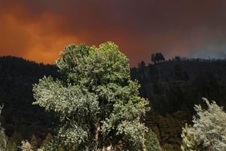 El incendio cerca del popular lago Tahoe, uno de los mayores de las decenas que hay en California (EUA), se vio impulsado a lo largo de la madrugada del jueves por los fuertes vientos que soplan en la zona y cruzó la frontera hasta alcanzar al vecino estado de Nevada. (ARCHIVO) 
