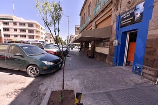 Más de 100 trabajadores municipales están involucrados actualmente en acciones relacionadas a evaluar la salud de árboles, arbustos y otras plantas dentro de espacios públicos de Torreón, esto con el objetivo de tener un diagnóstico preciso de la vegetación en la zona urbana del municipio. (EL SIGLO DE TORREÓN)