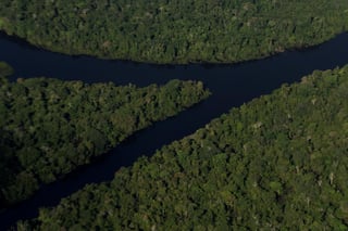 El Amazonas desempeña una labor fundamental para absorber dióxido de carbono; sin embargo, el sureste del mayor bosque tropical del mundo ha empezado a emitir más CO2 del que absorbe, según un estudio que publica Nature. (ARCHIVO) 
