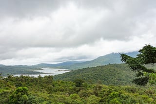 Fortuna, situado en el oeste de Panamá, es el bosque más nublado de Centroamérica y almacena tres veces más carbono de lo pensado, dijo el Instituto Smithsonian de Investigaciones Tropicales, que destacó su gran potencial para contrarrestar el calentamiento global. (ARCHIVO) 
