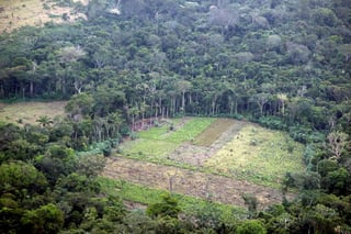 Hay zonas en la Sierra de la Macarena, uno de los grandes pulmones colombianos, donde es fácil olvidar que es el comienzo de la selva amazónica y, con cuadros perfectos de bosque arrasado o quemado, parece que la deforestación ganó la batalla. (ARCHIVO) 
 