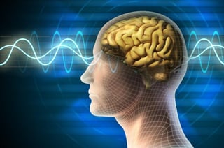 Neurocientíficos de la Universidad de California, han descubierto una nueva vía en el cerebro humano que procesa primero los sonidos del lenguaje (ESPECIAL) 