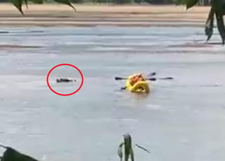 El hombre nadando estaba tumbado en el río, para combatir el calor. (INTERNET)