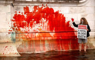 Un grupo de animalistas y activistas en defensa del clima tiñó con pintura roja este jueves la fuente frente al palacio de Buckingham, residencia oficial de Isabel II en Londres, para protestar en contra del uso de las tierras de la Corona británica para la caza y la ganadería. (ESPECIAL) 
