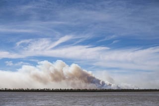 Miles de hectáreas de humedales han sido arrasadas en Argentina debido a los incendios que afectan las islas del delta del río Paraná, donde este martes los brigadistas proseguían con las labores para intentar extinguir el fuego. (ARCHIVO) 

 