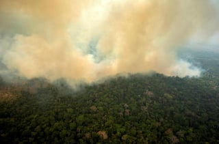 Hasta el 85% de las especies catalogadas como amenazadas en el Amazonas pueden haber perdido una parte sustancial de su hábitat debido a la deforestación y los incendios en las últimas dos décadas. (ARCHIVO) 
