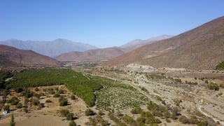 Chile, un país de 4,000 kilómetros de longitud con climas y orografías muy diversas (desierto en el norte y vastos bosques y glaciares en el sur), sufre desde hace 13 años la peor sequía de su historia debido al cambio climático.
(ARCHIVO)