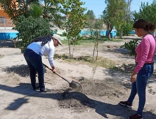 Personal de Ecología mejora espacios públicos en Madero. (EL SIGLO DE TORREÓN / MARY VÁZQUEZ)