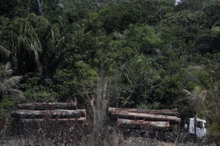 La deforestación en la Amazonía brasileña cayó en agosto por segundo mes consecutivo, pero continúa en niveles altos, según las alertas registradas por el Instituto Nacional de Pesquisas Espaciales (Inpe). (ARCHIVO) 
 