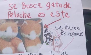 Internautas intentan ayudar a la niña a encontrar su peluche compartiendo su anuncio en redes sociales (CAPTURA) 