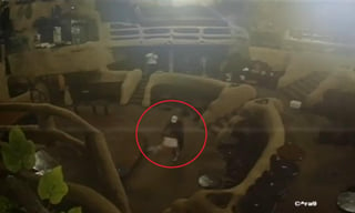 Los responsables del incendio en la discoteca Baby'O, habrían sido tres sujetos que entraron a la fuerza al lugar para prender fuego desde su interior (CAPTURA) 