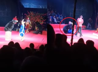 La mujer terminó en el hospital tras haber sido atacada por el oso en plena función del circo en Rusia (CAPTURA) 