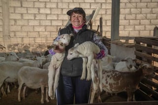 Unas 938 mil mujeres trabajan en el campo mexicano: Sader Balanza comercial ganadera cae 12.4 por ciento anual México, clave para la seguridad alimentaria En jaque, ganaderos británicos por falta de transporte Los principales países productores de carne