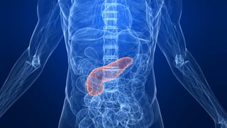 El páncreas es un órgano que se encuentra por detrás del estómago que produce hormonas y enzimas para ayudar al cuerpo a digerir los alimentos. (ARCHIVO)