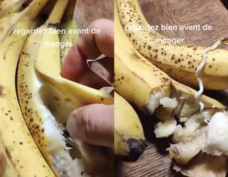 El video circula a través de WhatsApp, advirtiendo sobre el consumo de los plátanos llenos de gusanaos, mismos que se estarían comercializando en México (CAPTURA) 