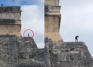El can aparentemente escaló la pirámide sin ser detectado por la seguridad de Chichén Itzá (CAPTURA) 
