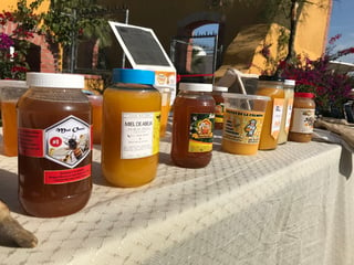 En apoyo a los apicultores laguneros, se llevó a cabo la segunda edición de la Feria de la Miel. (GUADALUPE MIRANDA)