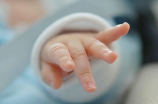 Esperar un minuto para pinzar el cordón umbilical de los nacidos antes de las 30 semanas de gestación, a no ser que necesiten reanimación inmediata, reduce el riesgo relativo de muerte o discapacidad en la primera infancia, según científicos australianos. (ESPECIAL) 

 
