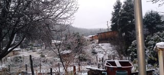 De acuerdo a los registros de la Coordinación Estatal de Protección Civil esta sería la primera nevada de la temporada en el estado de Durango. (EL SIGLO DE TORREÓN) 