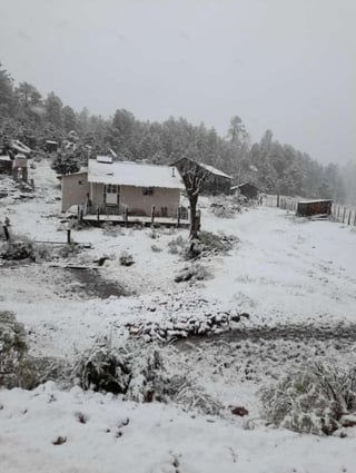 Las bajas temperaturas van a continuar este martes, con temperaturas de cero grados inclusive en la capital del estado de Durango. (EL SIGLO DE TORREÓN) 