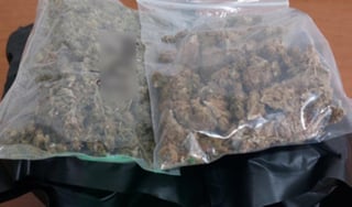 La hierba, las tabletas y la sustancia fueron aseguradas y puestas a disposición de las autoridades ministeriales de Saltillo, para continuar con las investigaciones correspondientes.
