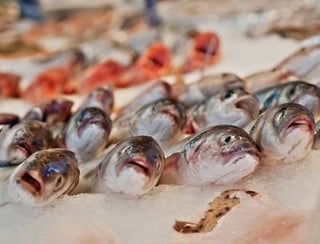 Un equipo de biólogos chinos ha conseguido criar una nueva variedad del pez carpín sin espinas intramusculares, lo que lo hace más sencillo de comer, recoge la agencia oficial Xinhua. (ESPECIAL)