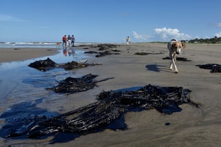 El incidente coincidió con un nivel inusitado del mar a causa del tsunami generado por la erupción volcánica en Tonga. (ARCHIVO)