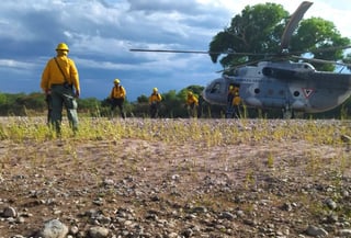 Después de 28 días, la Conafor reporta como liquidado el incendio forestal del municipio de San Bernardo. (EL SIGLO DE TORREÓN)
