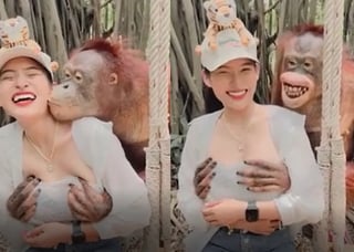VIRAL: Orangután agarra pecho de una mujer turista y le da un beso