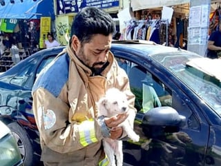 Bomberos de Gómez Palacio rescataron a un perro que se encontraba al interior de un automóvil. (EL SIGLO DE TORREÓN)