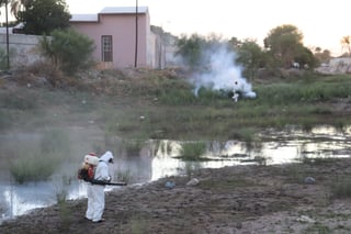 Autoridades realizan acciones para prevenir el dengue en San Pedro