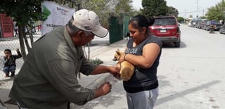 Salud Municipal busca proteger a las mascotas contra la rabia. (EL SIGLO DE TORREÓN)