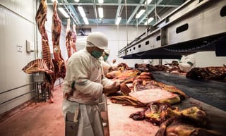 De enero a junio de 2022, México exportó 302 mil 929 toneladas de carne de bovino, porcino y aves. (ESPECIAL)