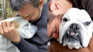 Conmueve en redes sociales la muerte de Fiona, la bulldog de Eugenio Derbez