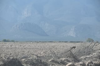 El IMCO ve una ventana de oportunidad en una nueva Ley General de Aguas que remplace a la Ley Nacional de 1992. (VERÓNICA RIVERA / EL SIGLO DE TORREÓN)