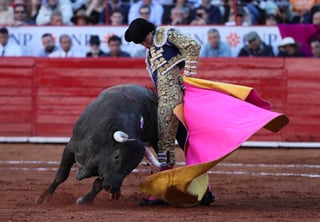 El matador de toros lagunero, Arturo Gilio Quintero, tuvo una triunfal presentación en la Plaza México, confirmando alternativa al cortar un apéndice a su primer enemigo 'Carlos' y cayendo con el pie derecho, con grandes faenas que lograron convencer al exigente público.