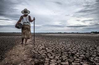 Matorrales y pastos capturan un 35 % menos de CO₂ cuando la sequía es extrema