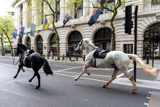 ANIMALES Caballos se dan a la fuga en Londres