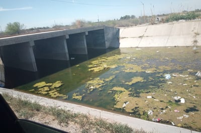Usuarios del módulo de riego número 09 ya habían limpiado los canales de riego cuando llegó el agua sucia, proveniente de una tubería ubicada en un canal de Torreón. (EL SIGLO DE TORREÓN/EDITH GONZÁLEZ)