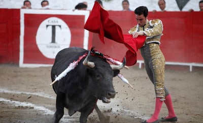 Corridas de toros y novilladas, al igual que todos los eventos masivos en el país, han tenido que suspender sus actividades durante abril. (ARCHIVO)