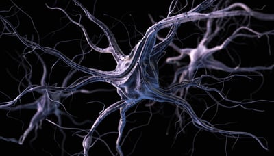 Un proyecto, liderado por investigadores españoles, demostró que es posible generar neuronas por medio de la técnica de reprogramación celular y el uso de piel humana que son capaces de recibir señales e integrarse al tejido cerebral humano. (ESPECIAL) 