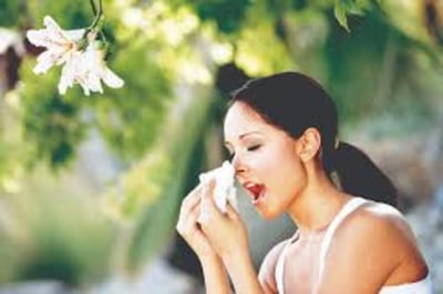 Las temporadas de las alergias comienza 20 días antes, son diez días más largas y presentan un 21 % más de polen que en 1990, según un estudio realizado en Estados Unidos y Canada, el cual señala que el cambio climático tiene 'un papel importante'. (ESPECIAL)
