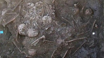 Las matanzas indiscriminadas a gran escala no son asuntos exclusivos de la historia moderna, ni siquiera de la historia escrita, según un grupo de antropólogos que encontró el sitio de una masacre ocurrida hace 6,200 años en lo que hoy es Croacia. (ESPECIAL) 
