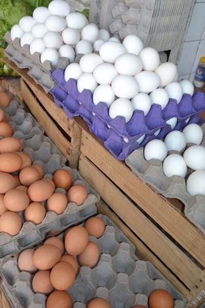 El estado de Durango se ubica como el octavo principal productor de huevo en la República Mexicana. (EL SIGLO DE TORREÓN) 