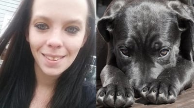 Critican a la mujer por haber filmado al su perro padeciendo la sobredosis en vez de haberlo ayudado (ESPECIAL) 