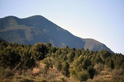 Para conmemorar el 25 aniversario de haberse declarado la Sierra de Zapalinamé como la zona protegida, el colectivo de arte urbano, Yo Soy Zapalinamé PROFAUNA AC y Conservación San Lorenzo AC, realizarán el festival “Por amor a la sierra”. (ARCHIVO)