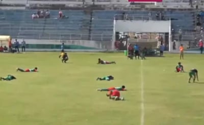 Un enjambre de abejas atacó a los jugadores que disputaban la final de un torneo local para ascender a la segunda división del fútbol boliviano en la región de Santa Cruz, provocando una suspensión de dos horas.