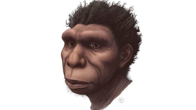 El Pleistoceno Medio, que empieza hace 774,000 años y acaba hace 129,000, es el periodo del que surgieron el hombre moderno, Homo sapiens, y nuestros parientes más cercanos, los neandertales, pero también es una época todavía poco conocida, en parte, por la falta de claridad en la terminología y la clasificación de los fósiles. (ESPECIAL) 

 