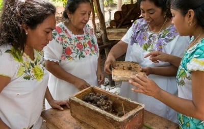 Talentos laguneros se suman a Xunan Kab, evento en beneficio de las abejas en el Museo Arocena. (EL SIGLO DE TORREÓN) 