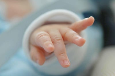 Esperar un minuto para pinzar el cordón umbilical de los nacidos antes de las 30 semanas de gestación, a no ser que necesiten reanimación inmediata, reduce el riesgo relativo de muerte o discapacidad en la primera infancia, según científicos australianos. (ESPECIAL) 

 
